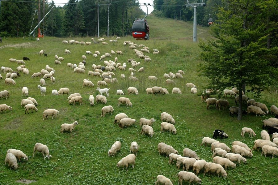 autoxautomAUTOcFFFFFF (1)