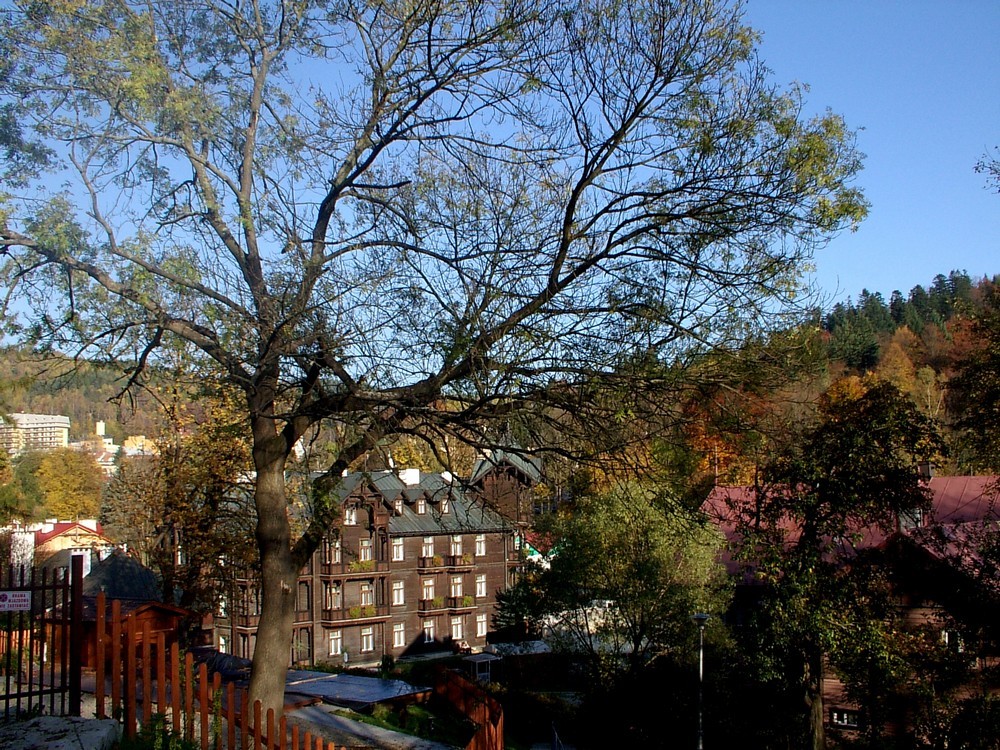 autoxautomAUTOcFFFFFF (10)