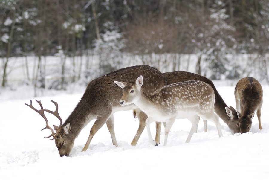 autoxautomAUTOcFFFFFF (11)