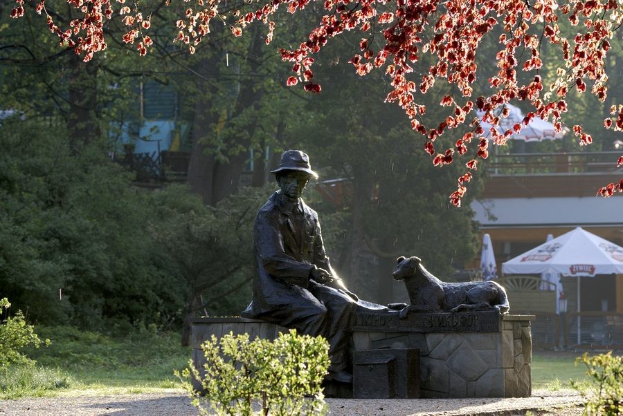 autoxautomAUTOcFFFFFF (11)