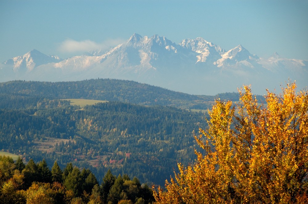 autoxautomAUTOcFFFFFF