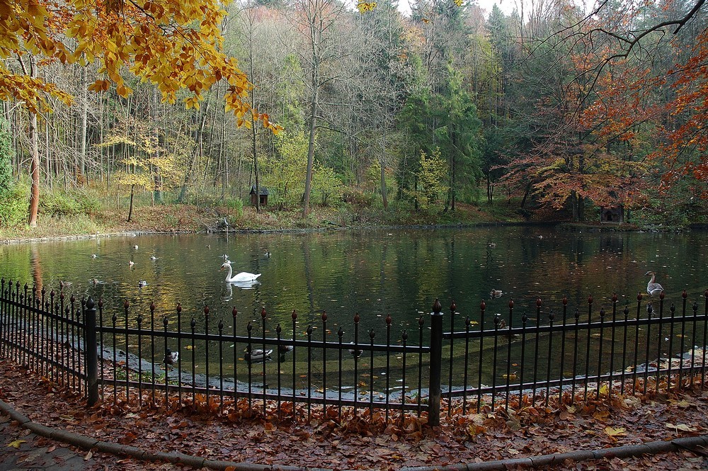 autoxautomAUTOcFFFFFF (3)