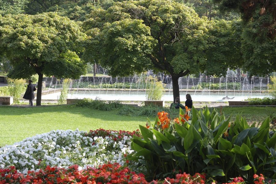 autoxautomAUTOcFFFFFF (3)