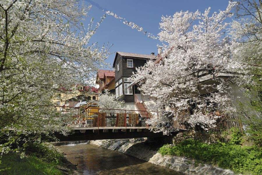 autoxautomAUTOcFFFFFF (4)