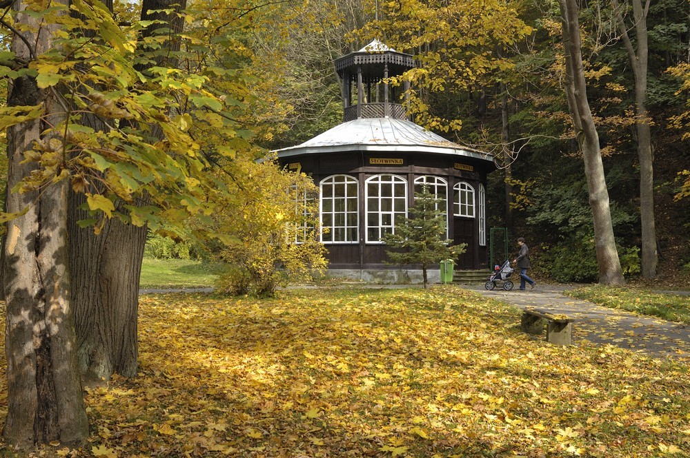 autoxautomAUTOcFFFFFF (5)