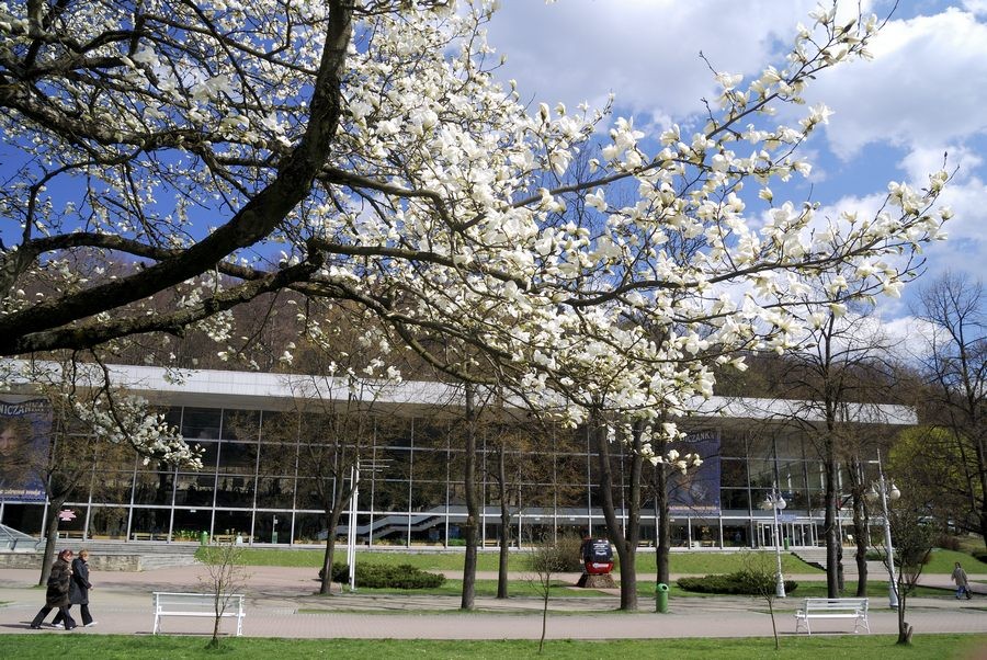 autoxautomAUTOcFFFFFF (5)