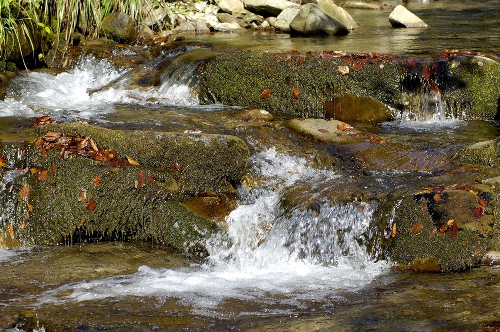 autoxautomAUTOcFFFFFF (6)