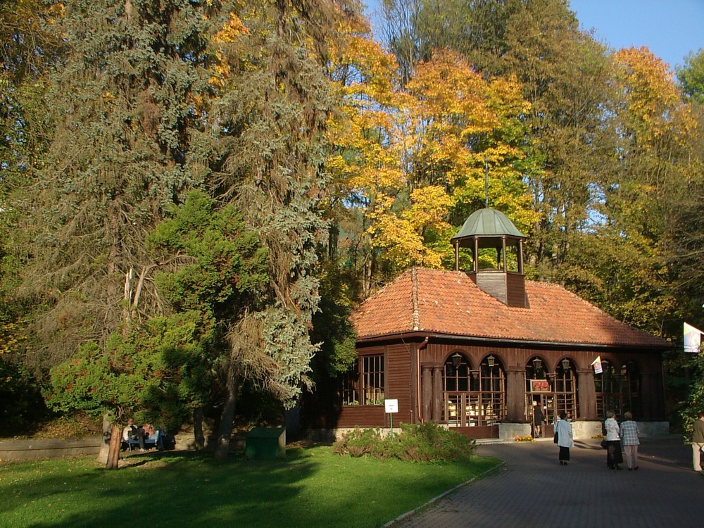 autoxautomAUTOcFFFFFF (8)