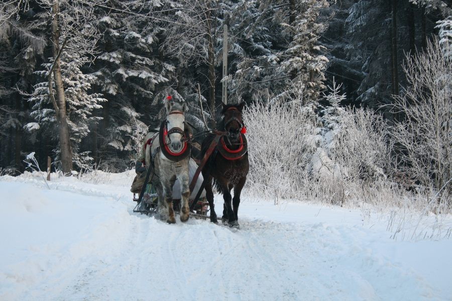 autoxautomAUTOcFFFFFF (8)