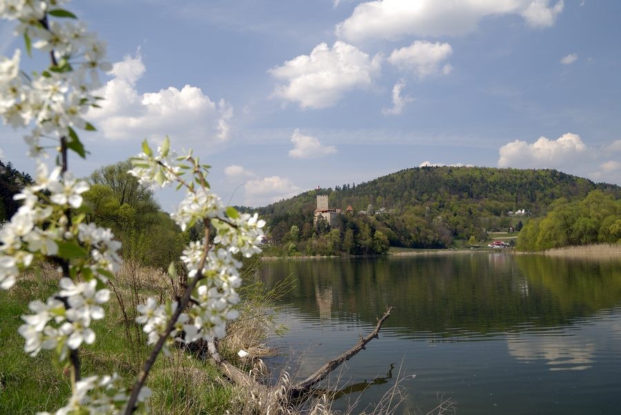 autoxautomAUTOcFFFFFF (8)