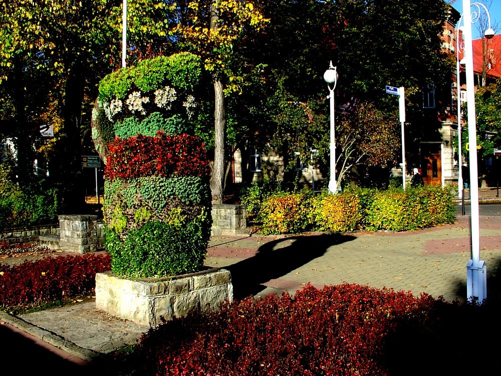 autoxautomAUTOcFFFFFF (9)